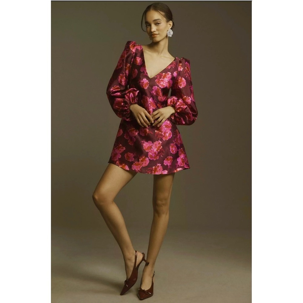 NWT!! Anthropologie BHLDN Aliana V Neck Floral Organza Mini Dress Large - Picture 1 of 16